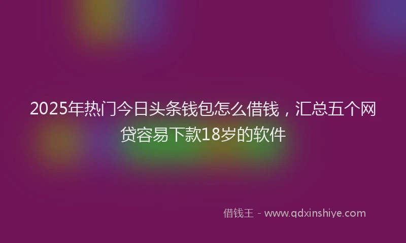 2025年热门今日头条钱包怎么借钱，汇总五个网贷容易下款18岁的软件