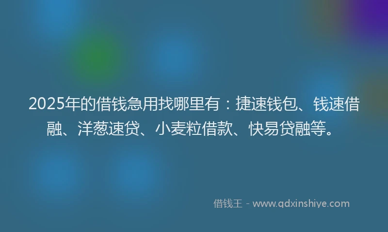 2025年的借钱急用找哪里有：捷速钱包、钱速借融、洋葱速贷、小麦粒借款、快易贷融等。