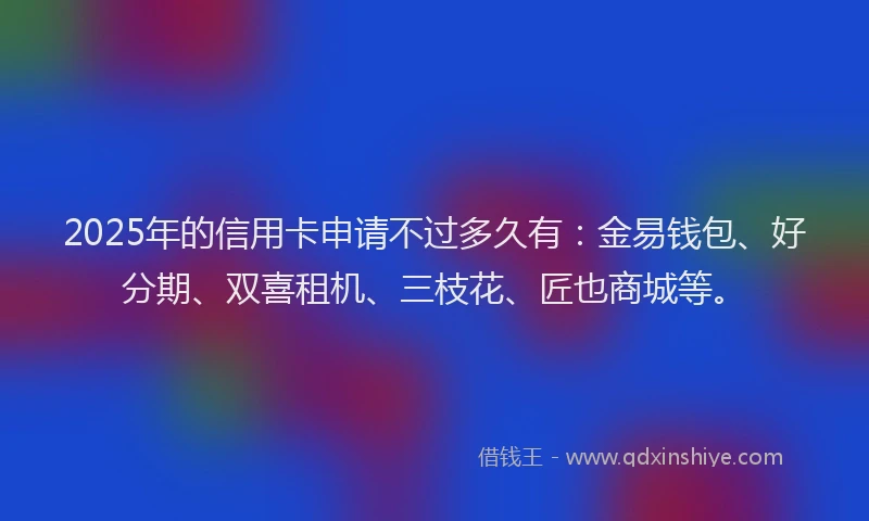 2025年的信用卡申请不过多久有：金易钱包、好分期、双喜租机、三枝花、匠也商城等。