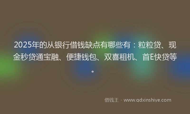 2025年的从银行借钱缺点有哪些有：粒粒贷、现金秒贷通宝融、便捷钱包、双喜租机、首E快贷等。