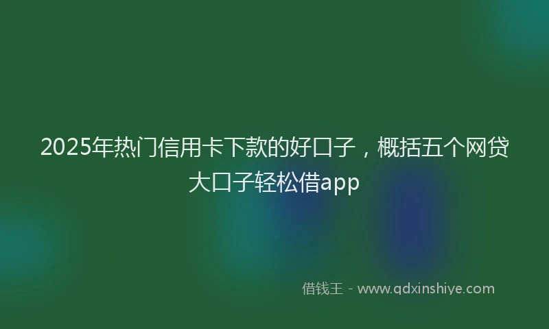2025年热门信用卡下款的好口子，概括五个网贷大口子轻松借app