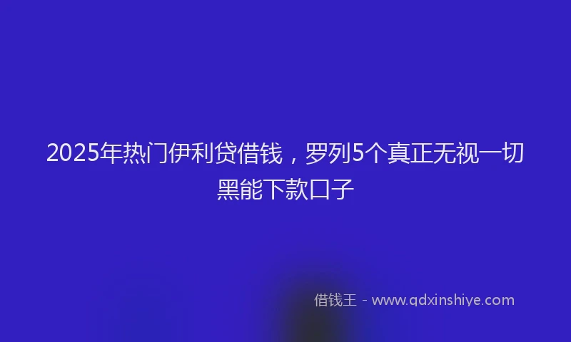 2025年热门伊利贷借钱，罗列5个真正无视一切黑能下款口子
