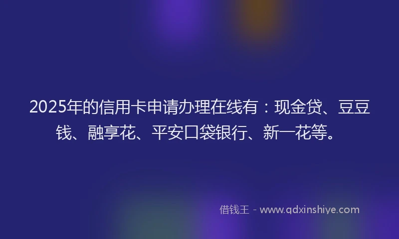 2025年的信用卡申请办理在线有：现金贷、豆豆钱、融享花、平安口袋银行、新一花等。