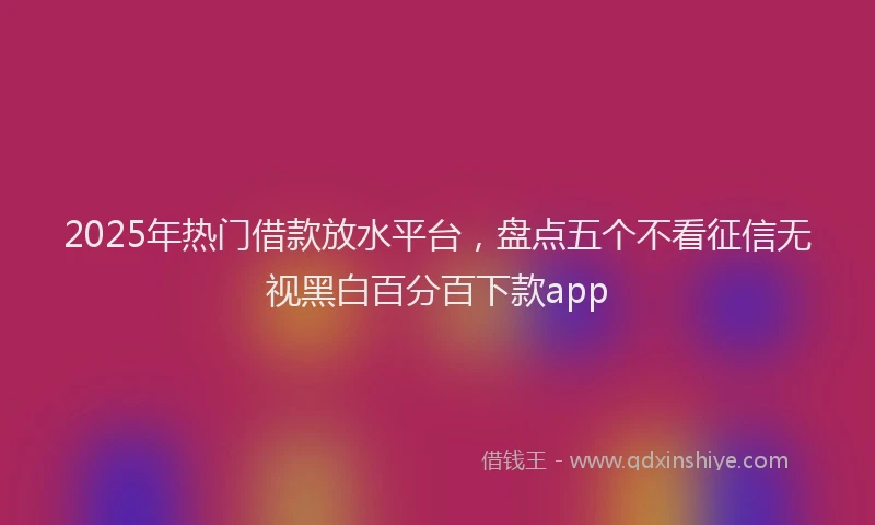 2025年热门借款放水平台，盘点五个不看征信无视黑白百分百下款app