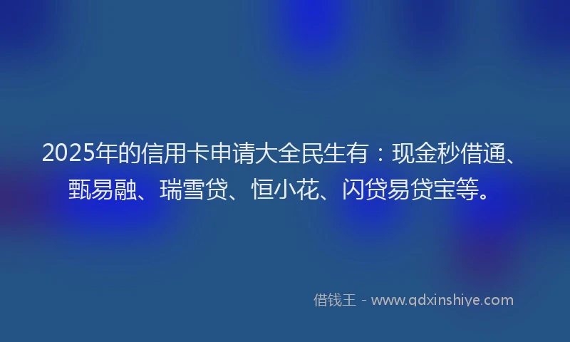 2025年的信用卡申请大全民生有：现金秒借通、甄易融、瑞雪贷、恒小花、闪贷易贷宝等。