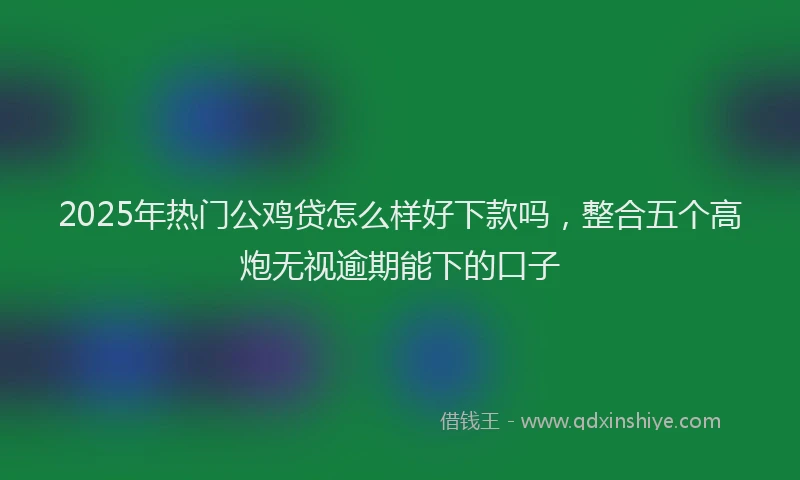 2025年热门公鸡贷怎么样好下款吗，整合五个高炮无视逾期能下的口子