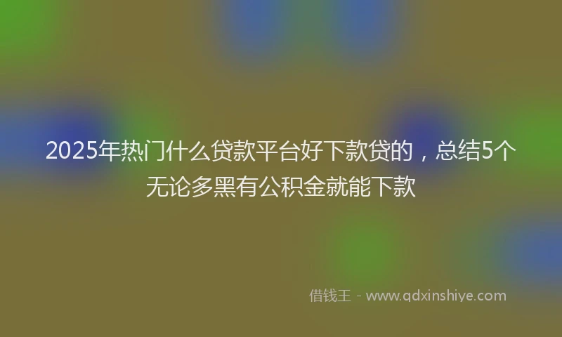 2025年热门什么贷款平台好下款贷的，总结5个无论多黑有公积金就能下款