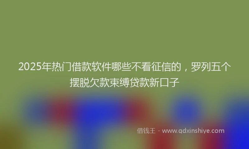 2025年热门借款软件哪些不看征信的，罗列五个摆脱欠款束缚贷款新口子