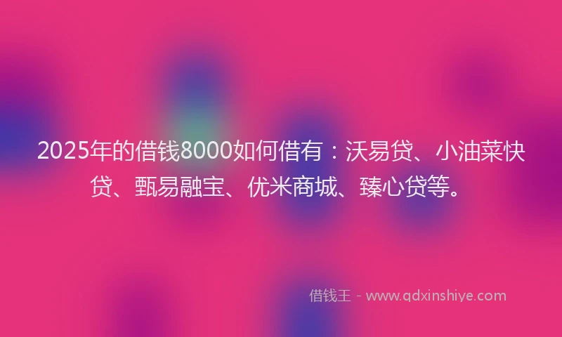2025年的借钱8000如何借有：沃易贷、小油菜快贷、甄易融宝、优米商城、臻心贷等。
