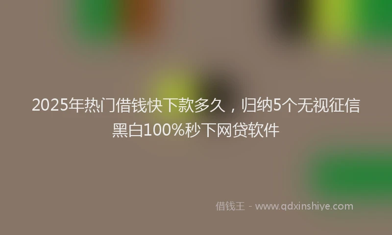 2025年热门借钱快下款多久，归纳5个无视征信黑白100%秒下网贷软件