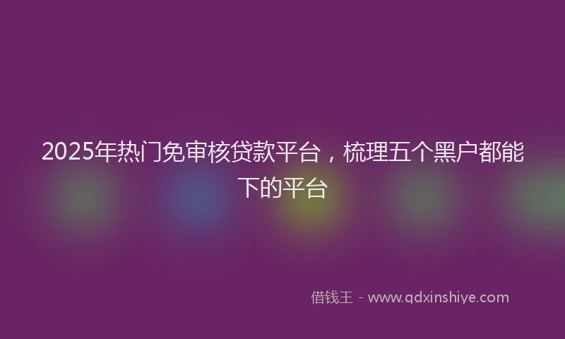 2025年热门免审核贷款平台，梳理五个黑户都能下的平台