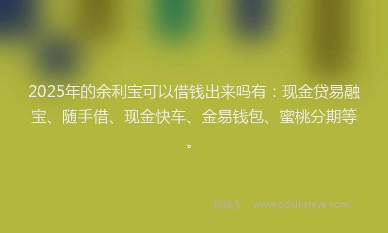 2025年的余利宝可以借钱出来吗有：现金贷易融宝、随手借、现金快车、金易钱包、蜜桃分期等。