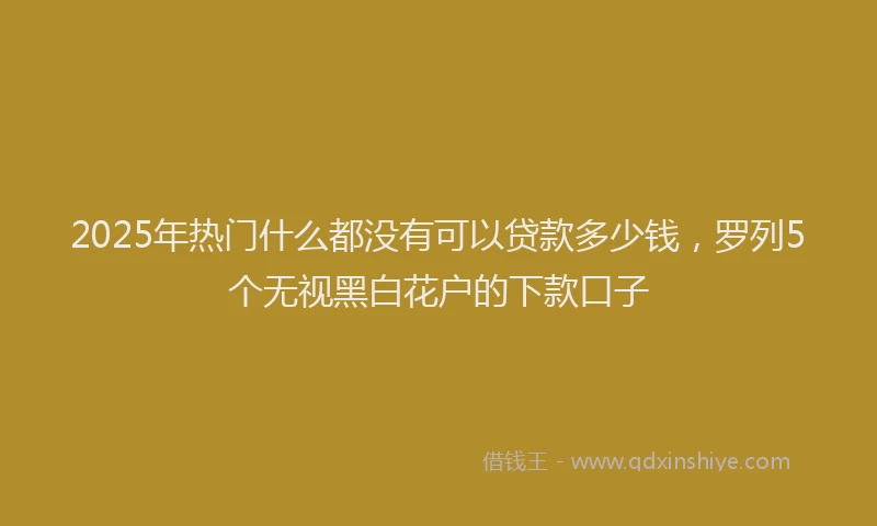 2025年热门什么都没有可以贷款多少钱，罗列5个无视黑白花户的下款口子