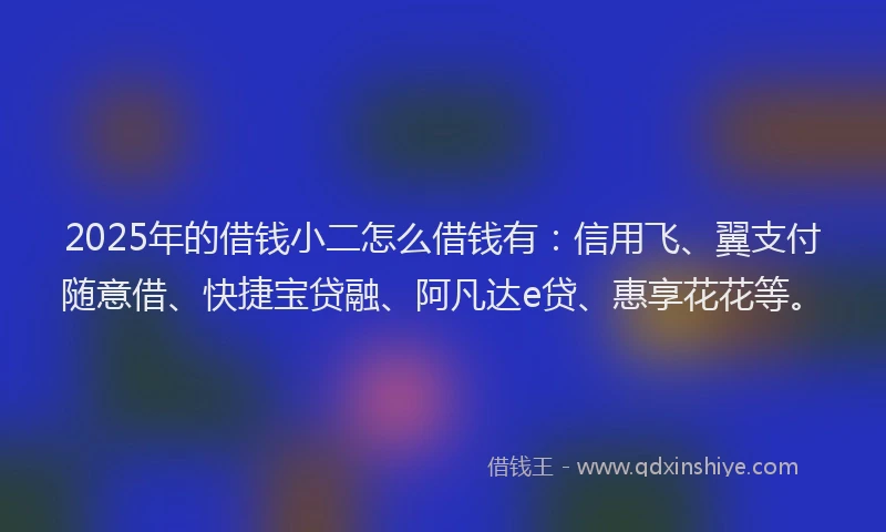 2025年的借钱小二怎么借钱有：信用飞、翼支付随意借、快捷宝贷融、阿凡达e贷、惠享花花等。