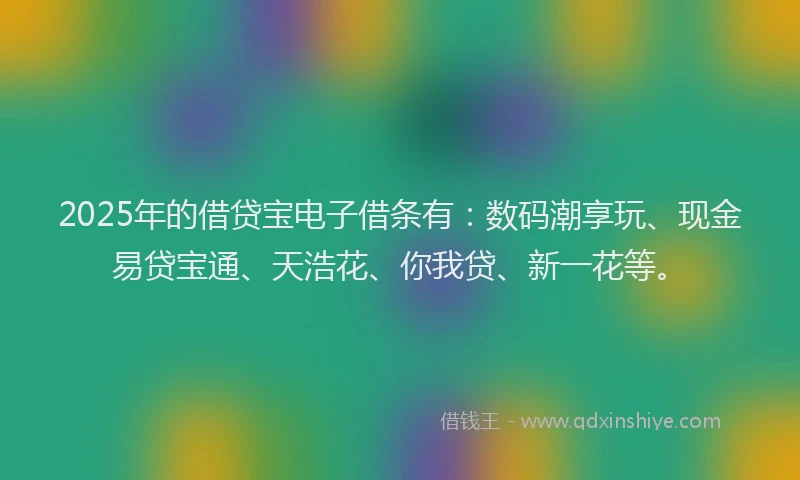 2025年的借贷宝电子借条有：数码潮享玩、现金易贷宝通、天浩花、你我贷、新一花等。