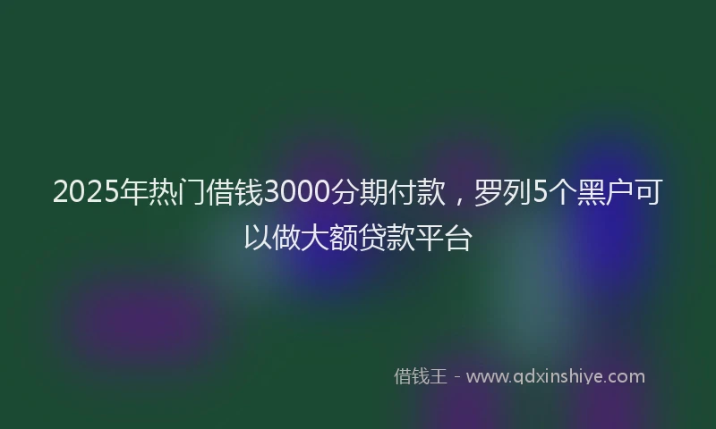 2025年热门借钱3000分期付款，罗列5个黑户可以做大额贷款平台