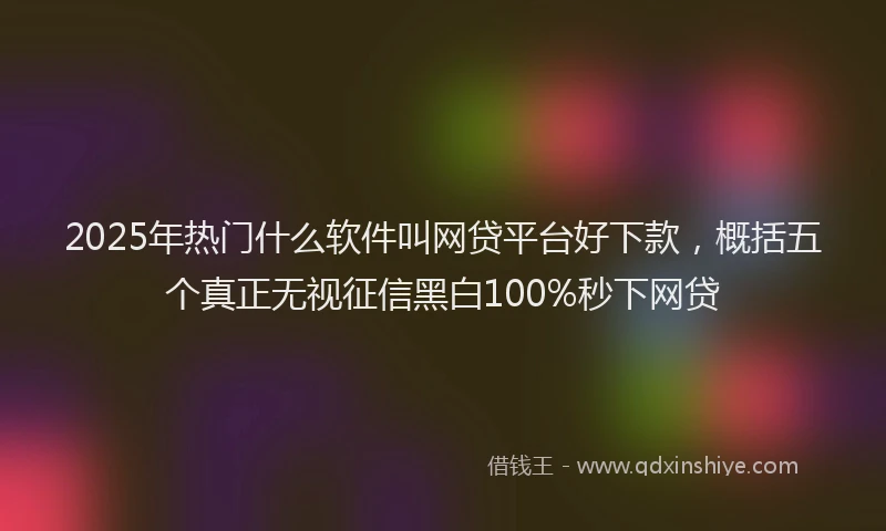 2025年热门什么软件叫网贷平台好下款，概括五个真正无视征信黑白100%秒下网贷