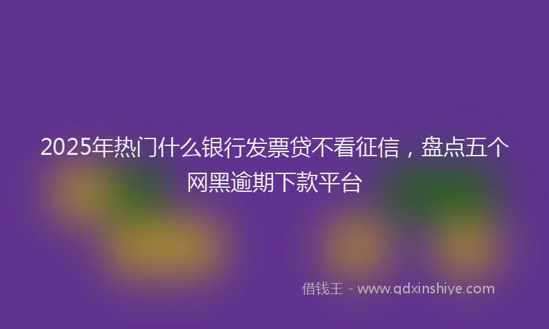 2025年热门什么银行发票贷不看征信，盘点五个网黑逾期下款平台
