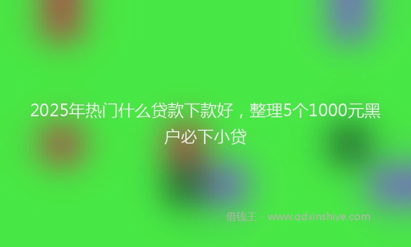 2025年热门什么贷款下款好，整理5个1000元黑户必下小贷