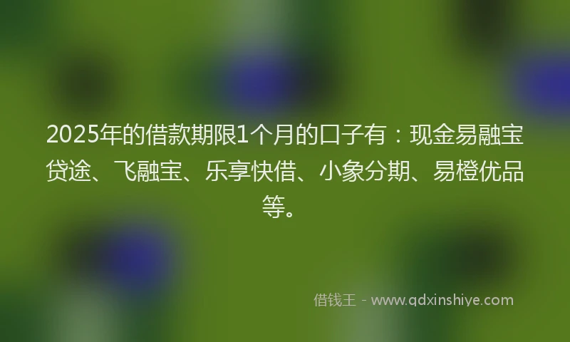 2025年的借款期限1个月的口子有：现金易融宝贷途、飞融宝、乐享快借、小象分期、易橙优品等。