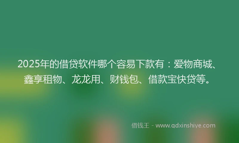 2025年的借贷软件哪个容易下款有：爱物商城、鑫享租物、龙龙用、财钱包、借款宝快贷等。