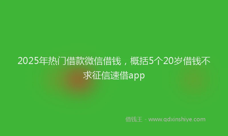 2025年热门借款微信借钱，概括5个20岁借钱不求征信速借app