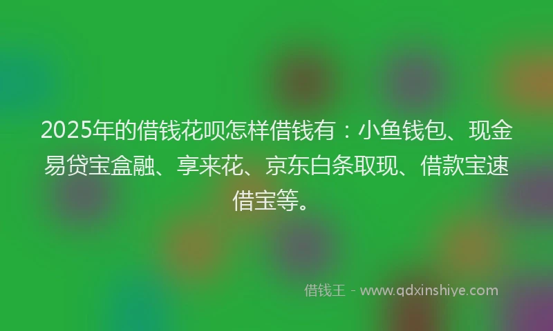 2025年的借钱花呗怎样借钱有：小鱼钱包、现金易贷宝盒融、享来花、京东白条取现、借款宝速借宝等。