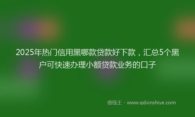 2025年热门信用黑哪款贷款好下款，汇总5个黑户可快速办理小额贷款业务的口子