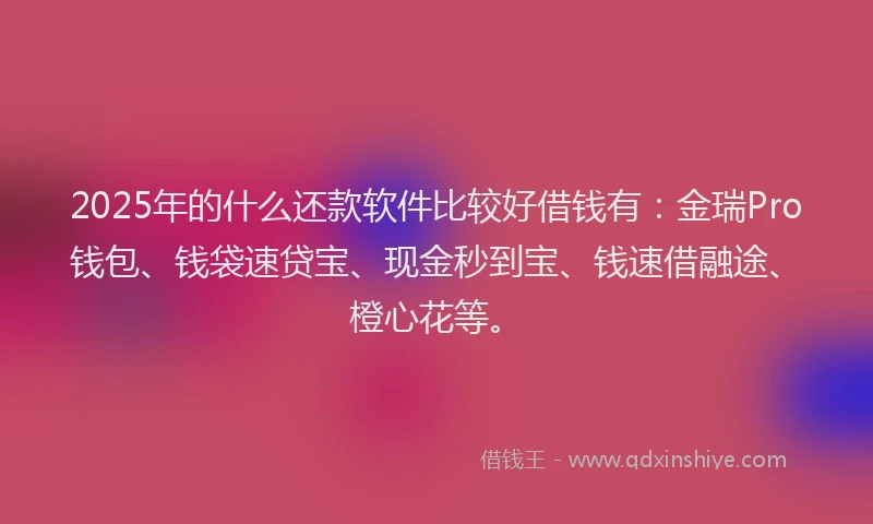 2025年的什么还款软件比较好借钱有：金瑞Pro钱包、钱袋速贷宝、现金秒到宝、钱速借融途、橙心花等。