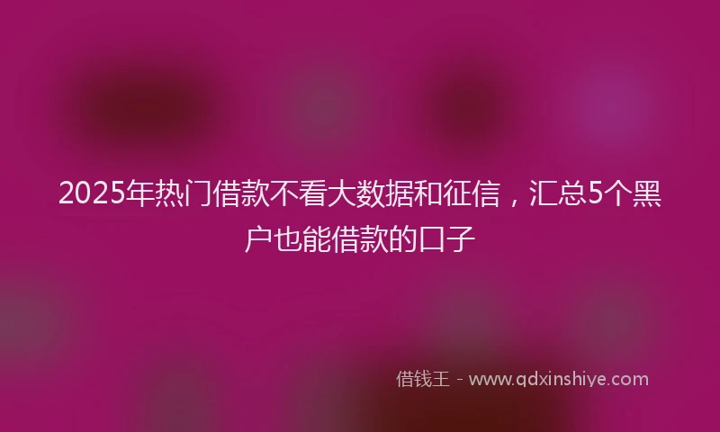 2025年热门借款不看大数据和征信，汇总5个黑户也能借款的口子