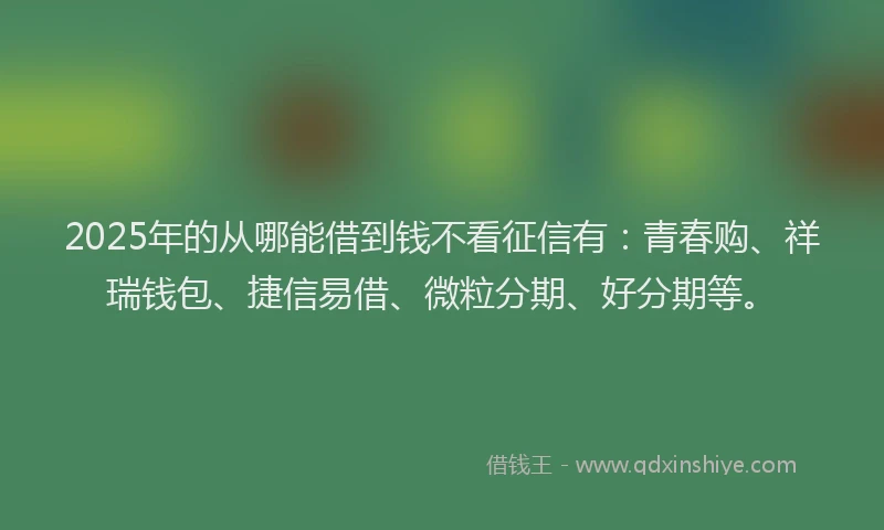 2025年的从哪能借到钱不看征信有：青春购、祥瑞钱包、捷信易借、微粒分期、好分期等。
