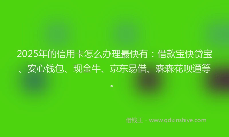 2025年的信用卡怎么办理最快有：借款宝快贷宝、安心钱包、现金牛、京东易借、森森花呗通等。