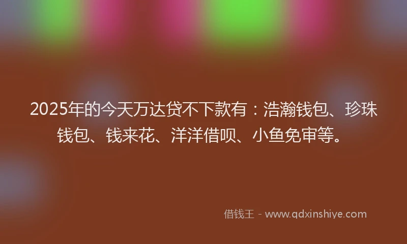 2025年的今天万达贷不下款有：浩瀚钱包、珍珠钱包、钱来花、洋洋借呗、小鱼免审等。