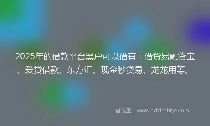 2025年的借款平台黑户可以借有：借贷易融贷宝、爱贷借款、东方汇、现金秒贷易、龙龙用等。