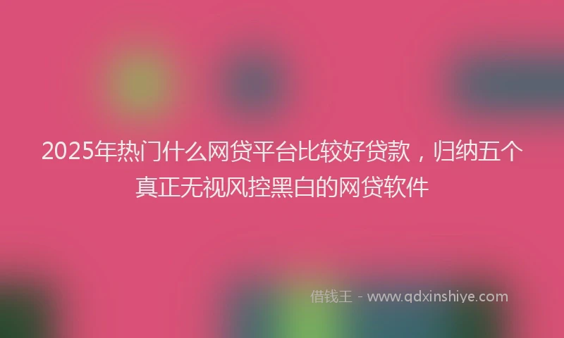 2025年热门什么网贷平台比较好贷款，归纳五个真正无视风控黑白的网贷软件