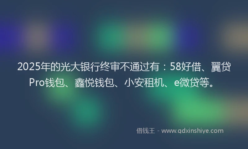 2025年的光大银行终审不通过有：58好借、翼贷Pro钱包、鑫悦钱包、小安租机、e微贷等。
