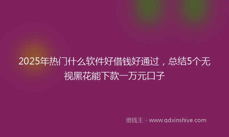 2025年热门什么软件好借钱好通过，总结5个无视黑花能下款一万元口子