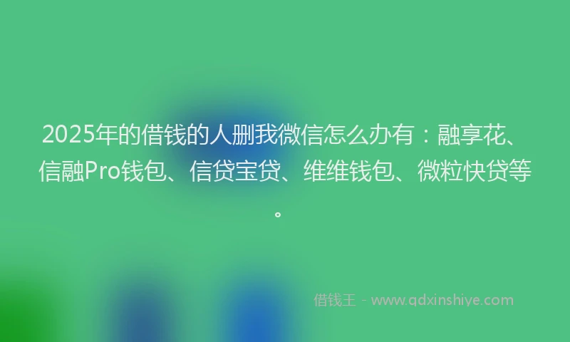 2025年的借钱的人删我微信怎么办有：融享花、信融Pro钱包、信贷宝贷、维维钱包、微粒快贷等。