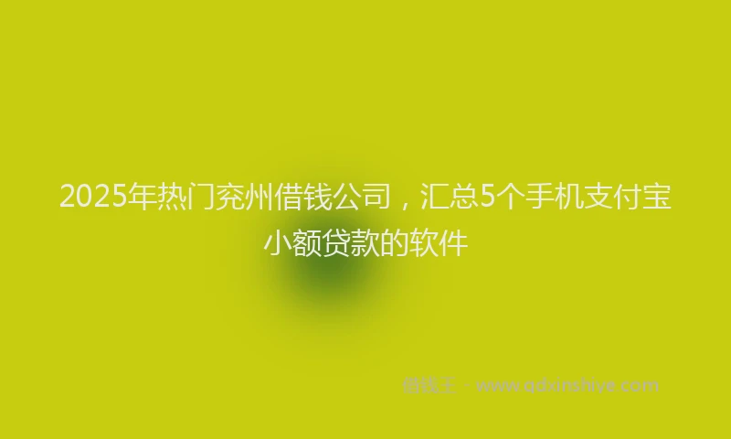 2025年热门兖州借钱公司，汇总5个手机支付宝小额贷款的软件