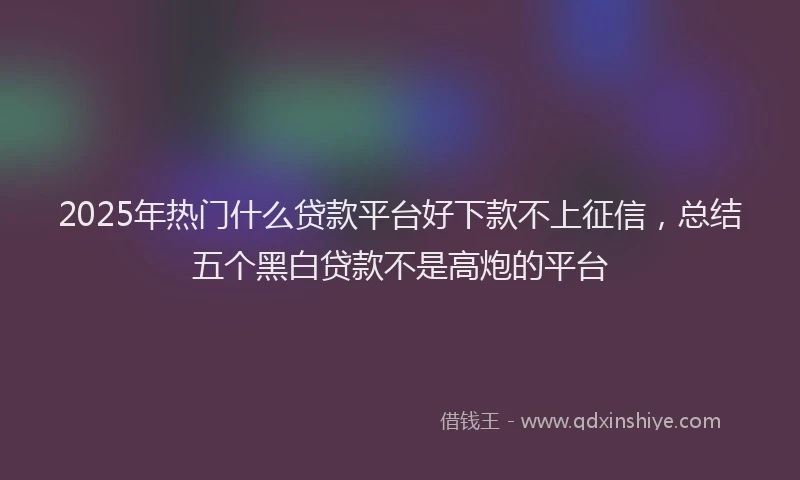 2025年热门什么贷款平台好下款不上征信，总结五个黑白贷款不是高炮的平台