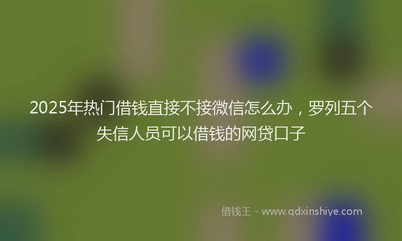 2025年热门借钱直接不接微信怎么办，罗列五个失信人员可以借钱的网贷口子