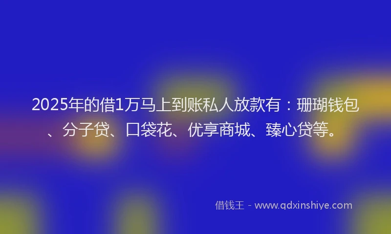 2025年的借1万马上到账私人放款有：珊瑚钱包、分子贷、口袋花、优享商城、臻心贷等。