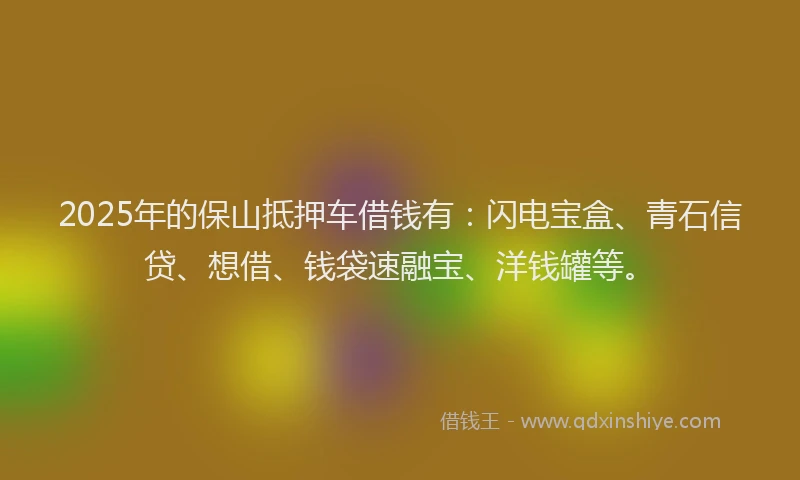 2025年的保山抵押车借钱有：闪电宝盒、青石信贷、想借、钱袋速融宝、洋钱罐等。