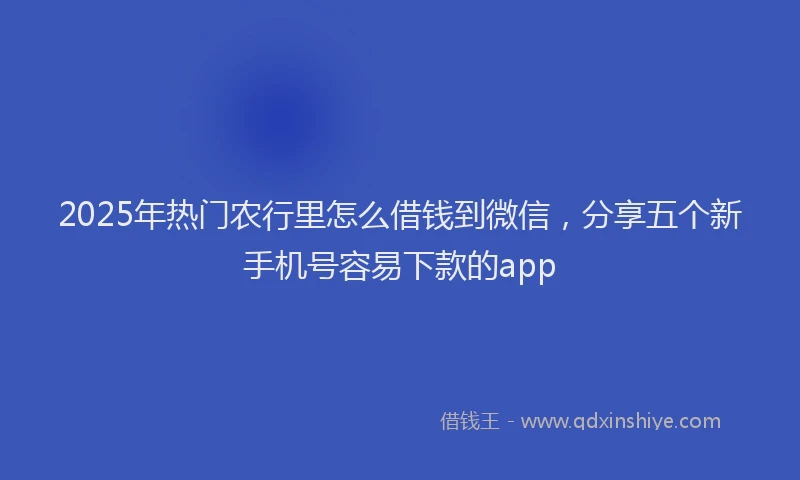 2025年热门农行里怎么借钱到微信，分享五个新手机号容易下款的app