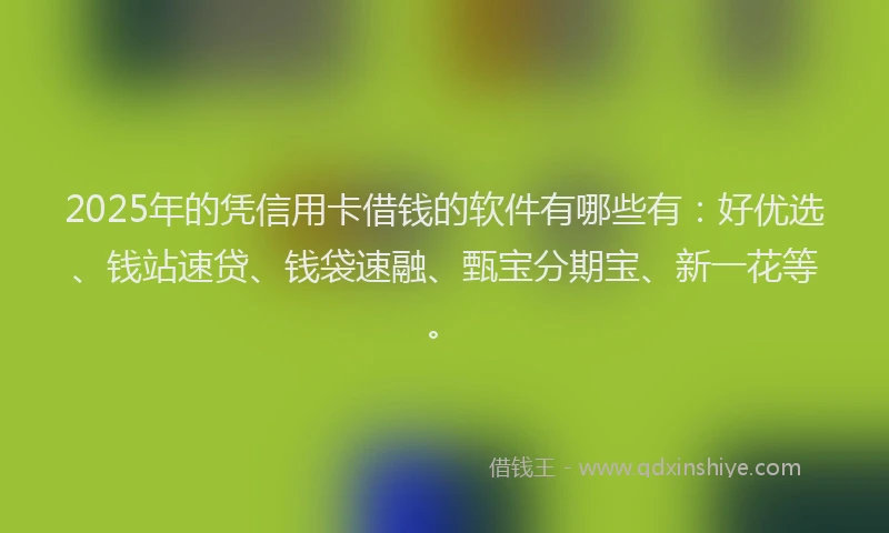 2025年的凭信用卡借钱的软件有哪些有：好优选、钱站速贷、钱袋速融、甄宝分期宝、新一花等。
