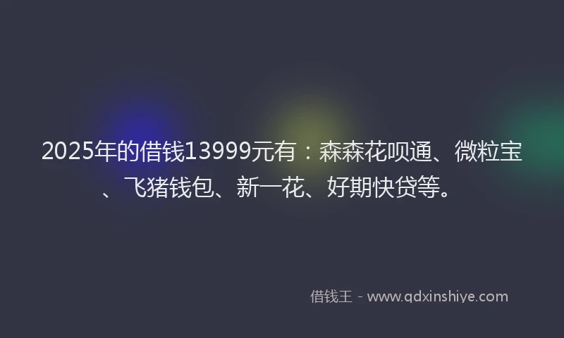 2025年的借钱13999元有：森森花呗通、微粒宝、飞猪钱包、新一花、好期快贷等。