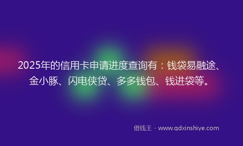 2025年的信用卡申请进度查询有：钱袋易融途、金小豚、闪电侠贷、多多钱包、钱进袋等。