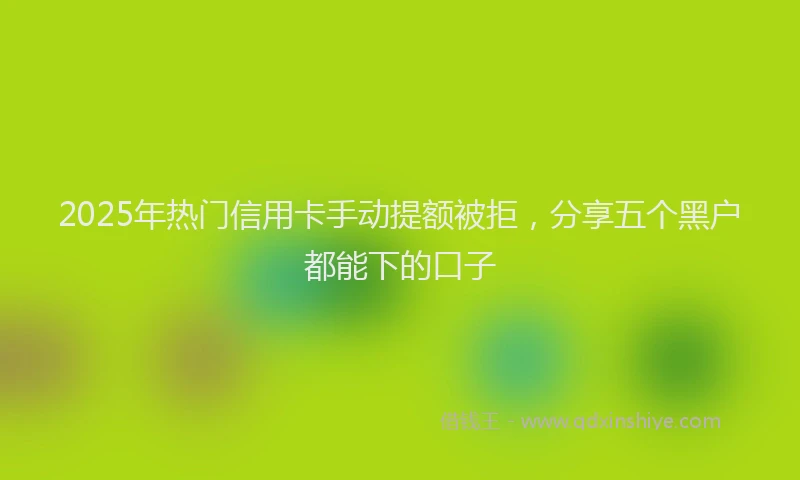 2025年热门信用卡手动提额被拒，分享五个黑户都能下的口子