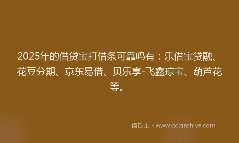 2025年的借贷宝打借条可靠吗有：乐借宝贷融、花豆分期、京东易借、贝乐享-飞鑫琼宝、葫芦花等。