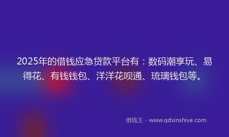 2025年的借钱应急贷款平台有：数码潮享玩、易得花、有钱钱包、洋洋花呗通、琉璃钱包等。